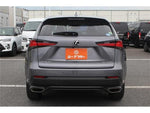 LEXUS NX300