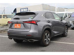 LEXUS NX300