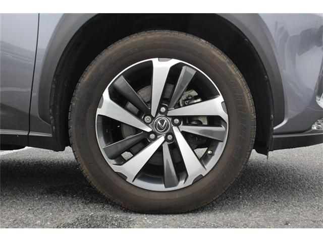 LEXUS NX300