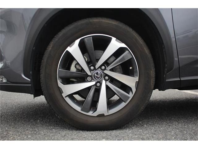 LEXUS NX300