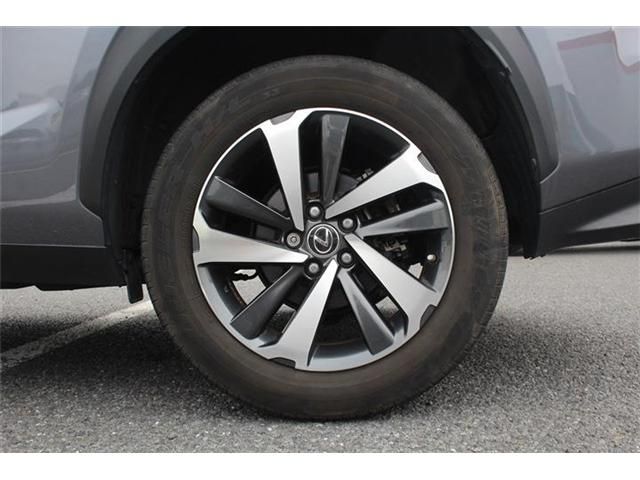 LEXUS NX300