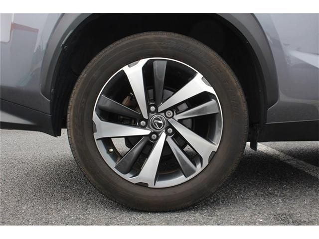 LEXUS NX300