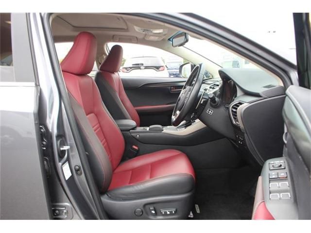 LEXUS NX300