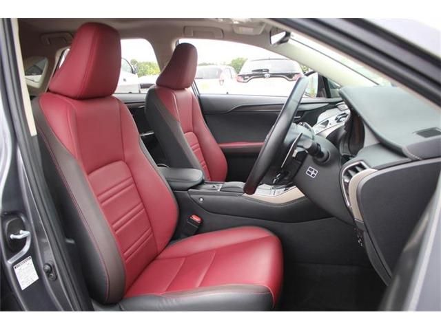 LEXUS NX300