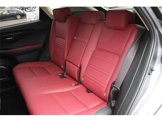 LEXUS NX300