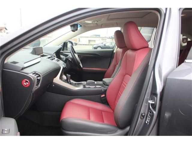 LEXUS NX300
