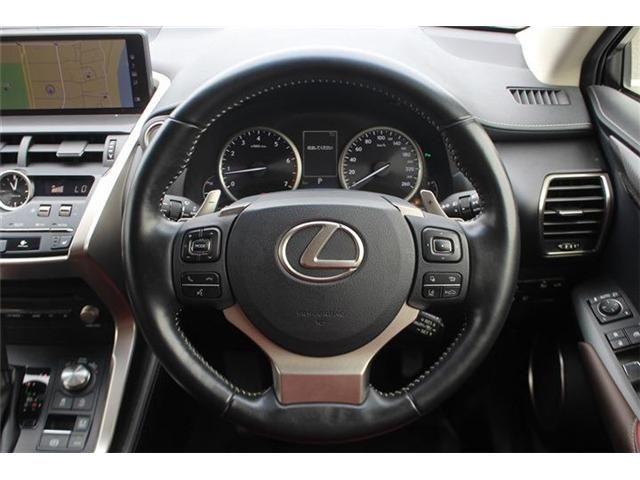 LEXUS NX300