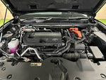 CROWN SPORT