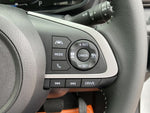 RAIZE HYBRID