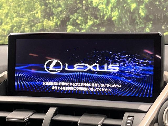 LEXUS NX300