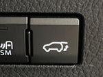 LEXUS NX300
