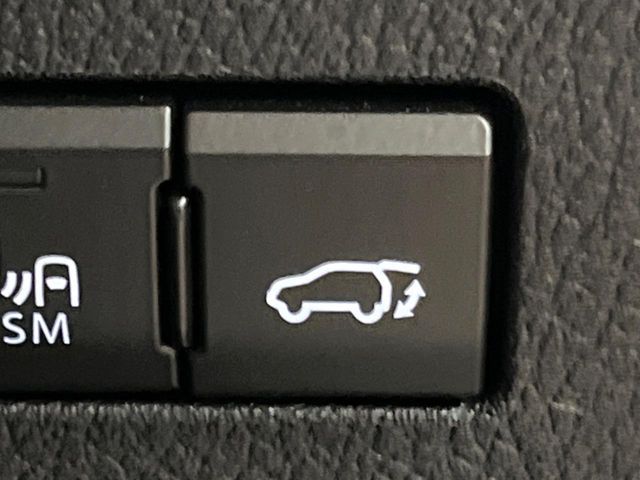 LEXUS NX300