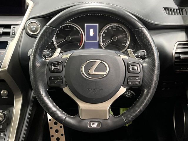 LEXUS NX300