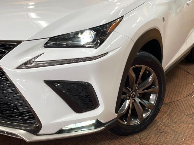 LEXUS NX300