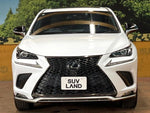 LEXUS NX300