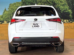 LEXUS NX300