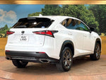 LEXUS NX300