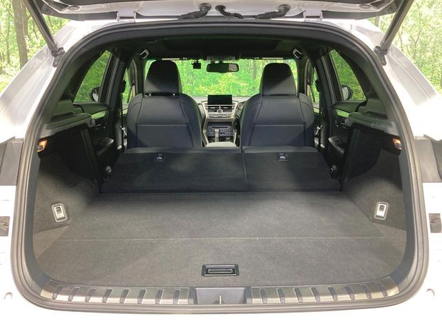 LEXUS NX200t