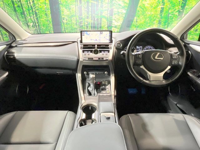LEXUS NX300