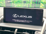 LEXUS NX300