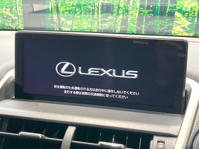 LEXUS NX300