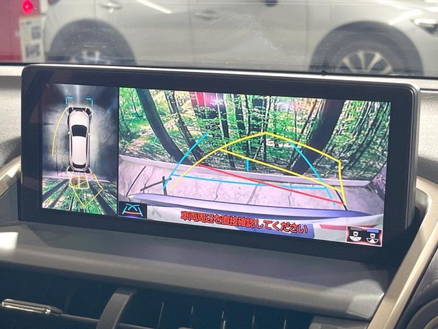 LEXUS NX300
