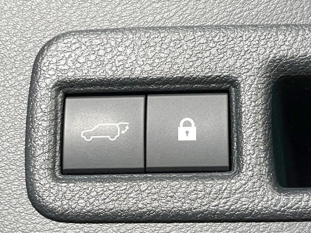 LEXUS NX300