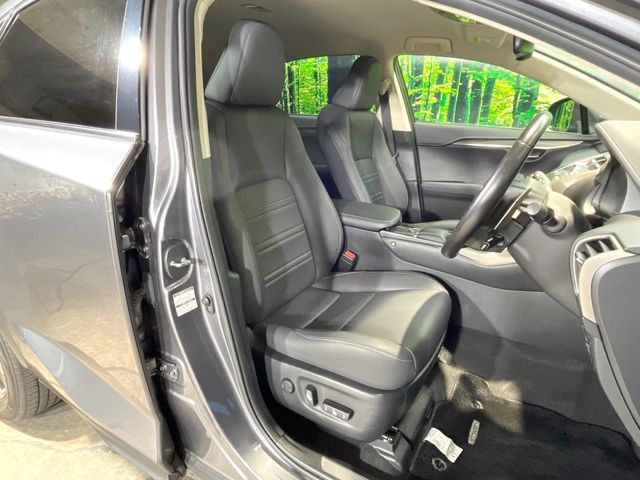 LEXUS NX300