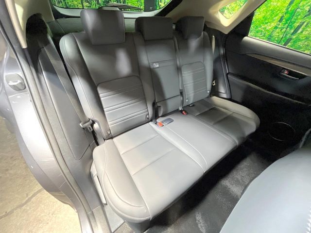 LEXUS NX300