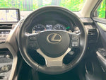LEXUS NX300
