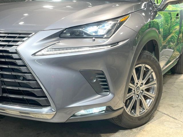 LEXUS NX300