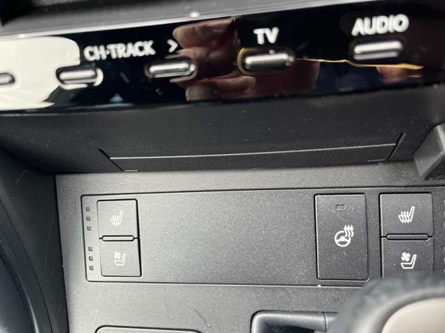 LEXUS IS300h