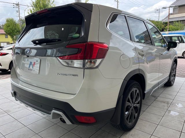 FORESTER