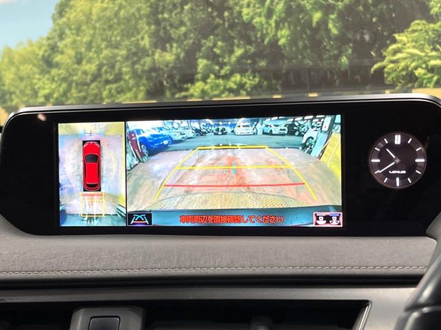 LEXUS UX250h