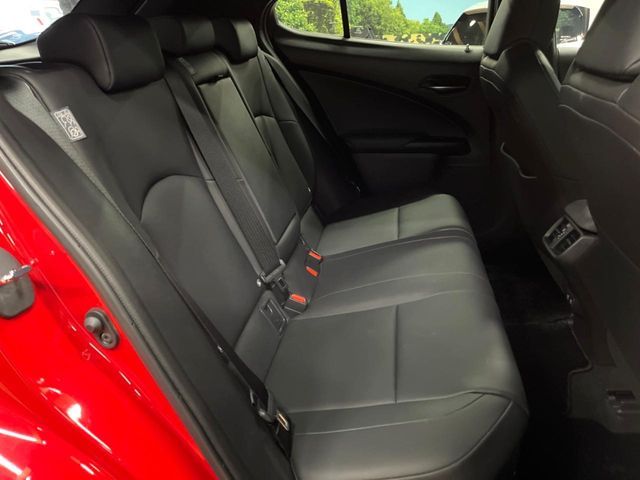 LEXUS UX250h