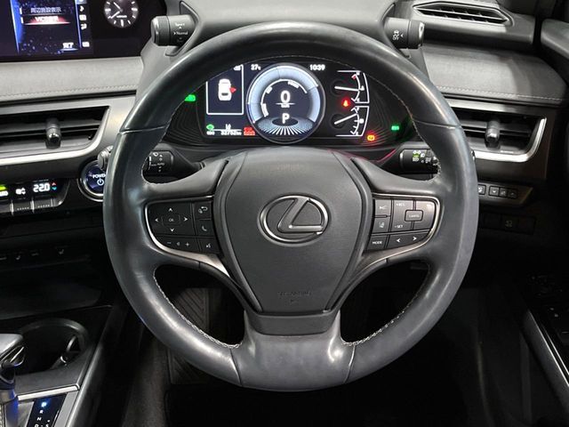 LEXUS UX250h