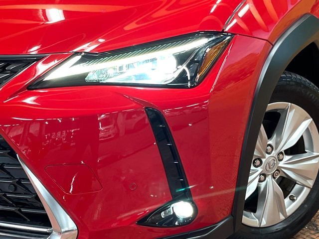 LEXUS UX250h