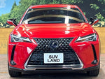 LEXUS UX250h