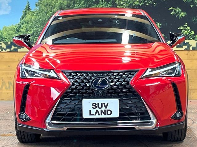 LEXUS UX250h