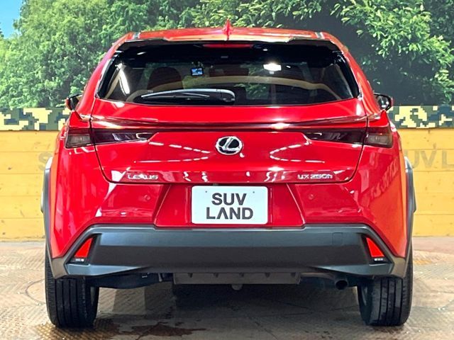 LEXUS UX250h