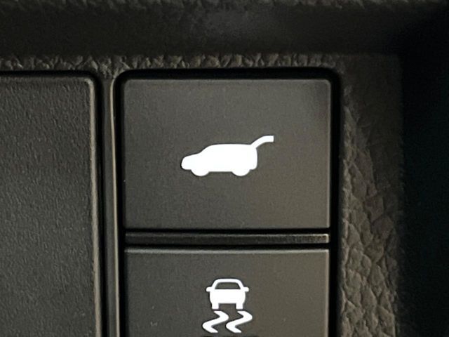 STEPWAGON e:HEV SPADA