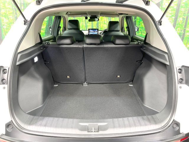 WR-V