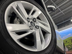 RAIZE