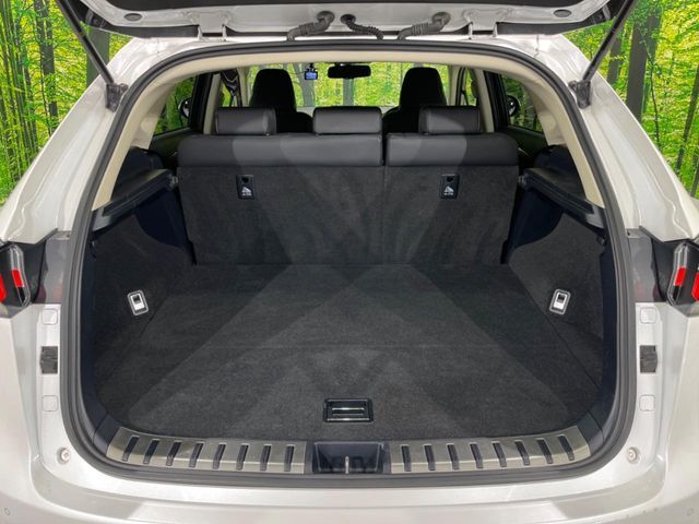 LEXUS NX300h AWD