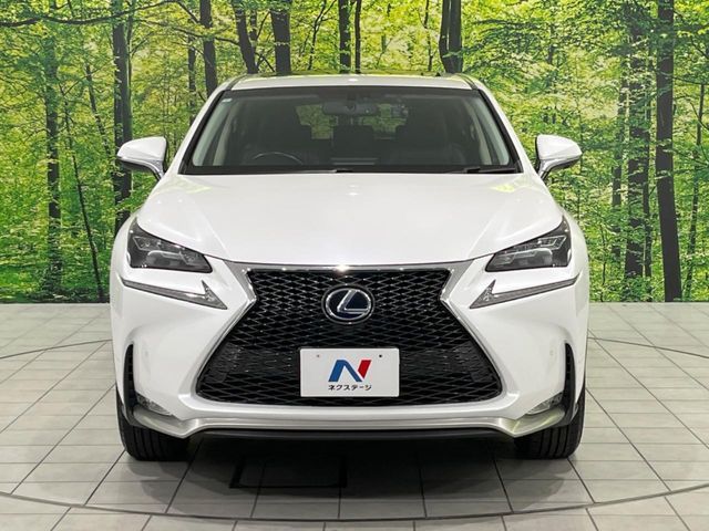 LEXUS NX300h AWD