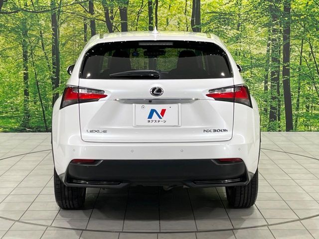 LEXUS NX300h AWD
