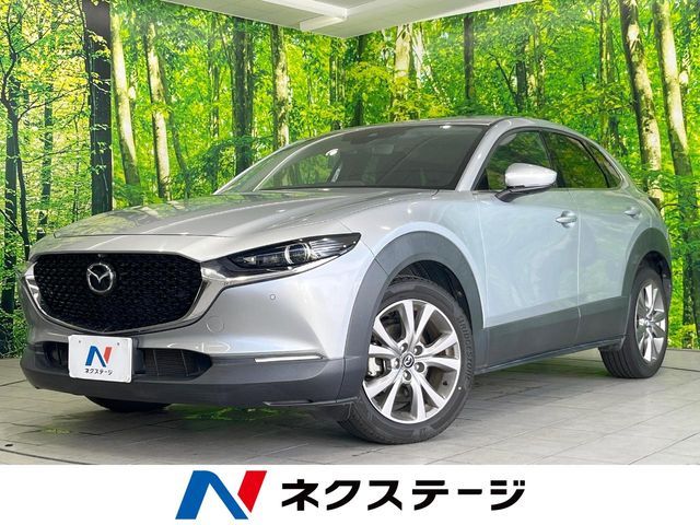 CX-30