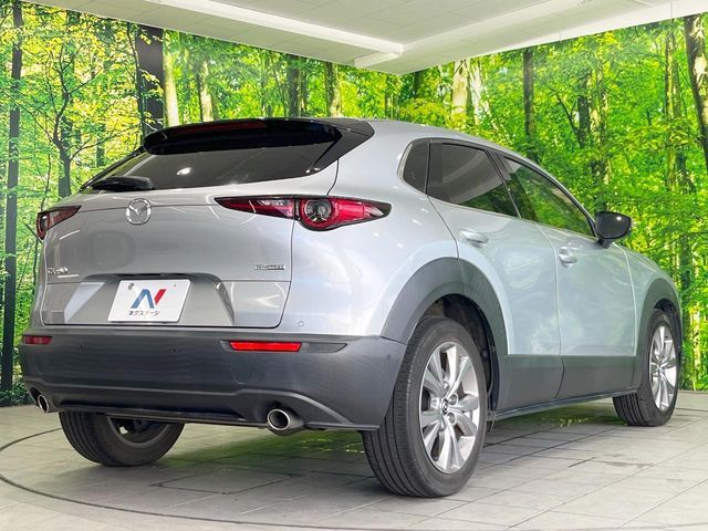 CX-30