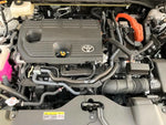 CROWN SPORT