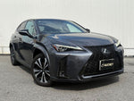 LEXUS UX250h AWD